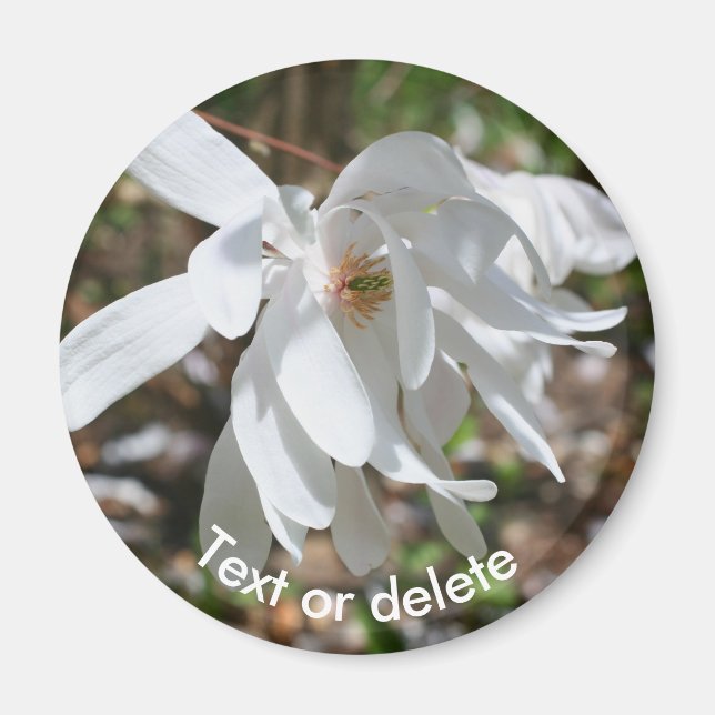 Imán Flor Blanca de Magnolia Personalizada (Frente)
