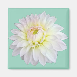 Imán Flor blanca y rosa