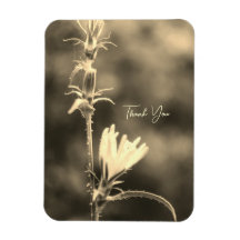 Flor Boho Romántica – Fantasía Botánica Gracias