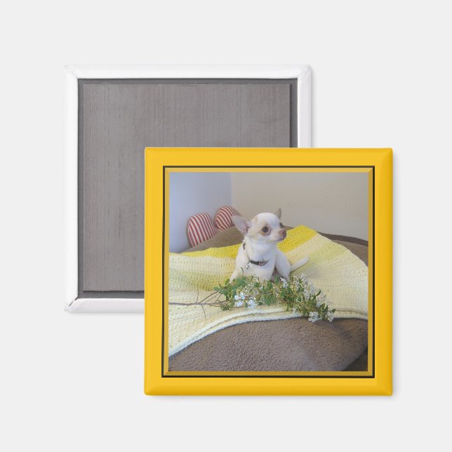 Imán Flor Chihuahua Magnet (Anverso/Reverso)