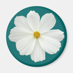 Imán Flor Cosmos Blanco