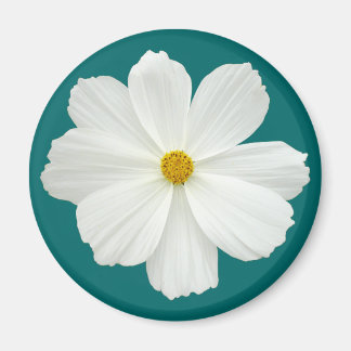 Imán Flor Cosmos Blanco