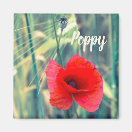 Imán Flor de amapola para jardineros y regalo de amante