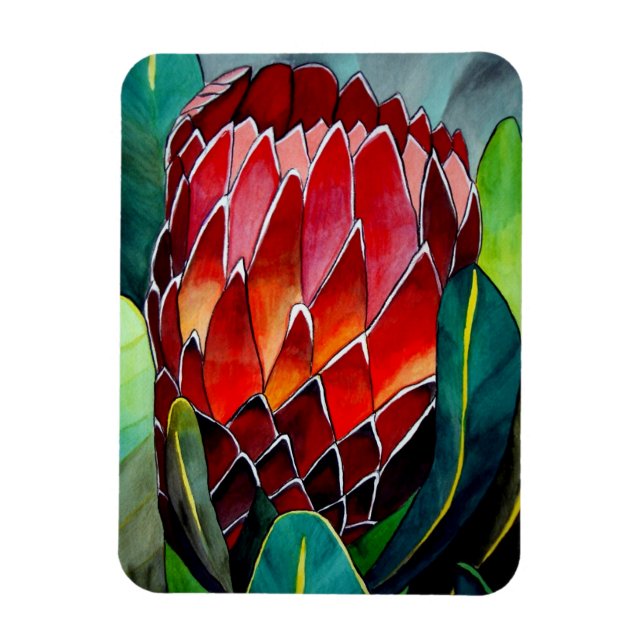 Imán Flor de arte acuarela de Red Protea (Vertical)