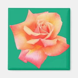 Imán Flor de arveja