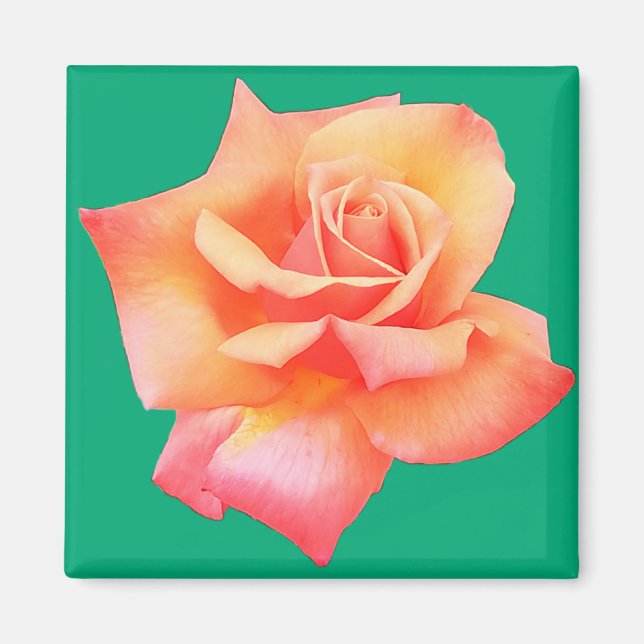 Imán Flor de arveja (Frente)