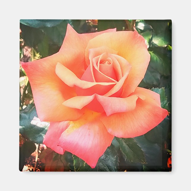 Imán Flor de arveja (Frente)