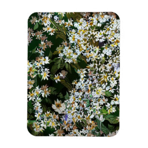 IMÁN FLOR DE ASTER