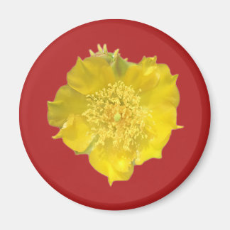 Imán Flor de Cactus