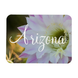 Imán Flor de cactus morado y blanco, Arizona