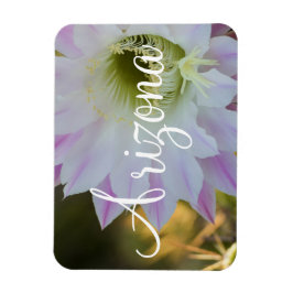 Imán Flor de cactus morado y blanco, Arizona