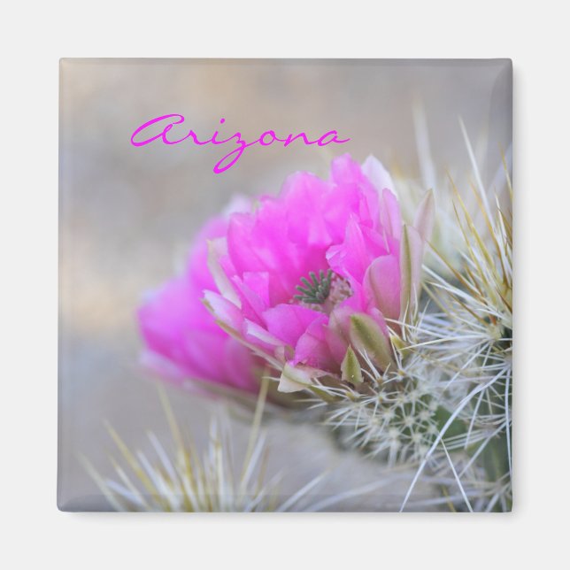 Imán flor de cactus rosado, Arizona (Frente)