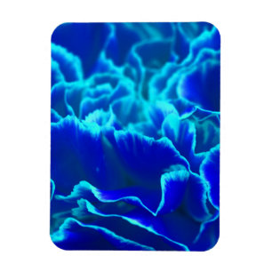 Imán Flor de canal azul y Verde azulada vibrante