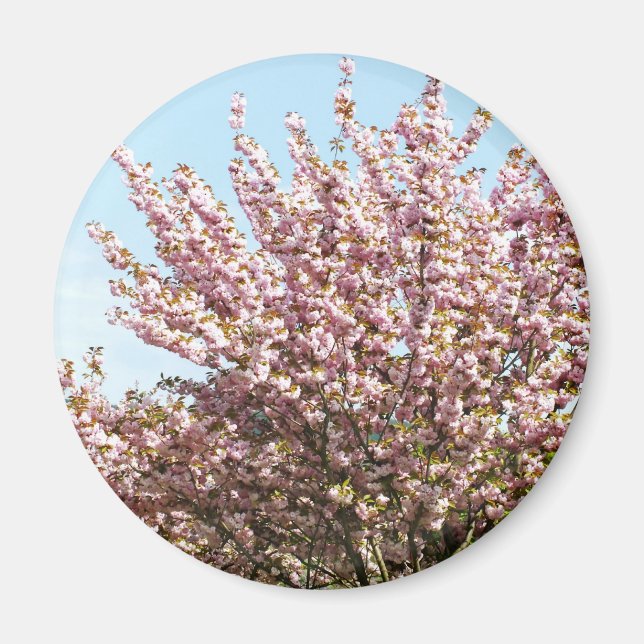Imán Flor de cerezo (Frente)