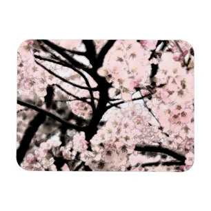 Imán Flor de cerezo corregida