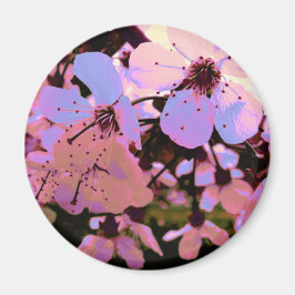 Imán Flor de cerezo rosa