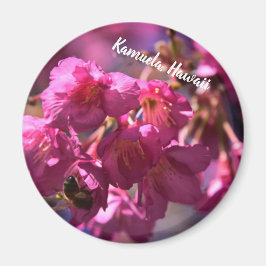 Imán Flor de cerezo y abeja