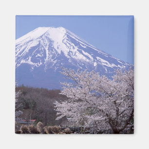 Imán Flor de cerezo y el monte Fuji