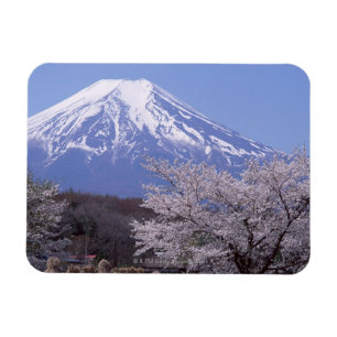 Imán Flor de cerezo y el monte Fuji