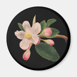 Imán Flor de color rosa vintage