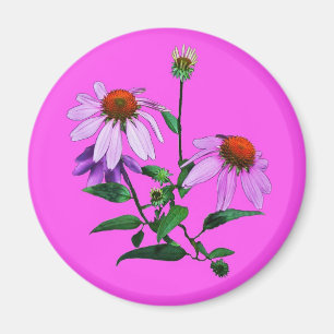 Imán Flor de Cono Morado Sobre Rosa