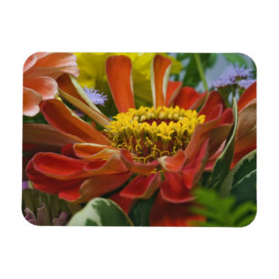 Imán flor de crisantemo