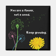 Flor de Dandelion no maleza Fridge Magnet
