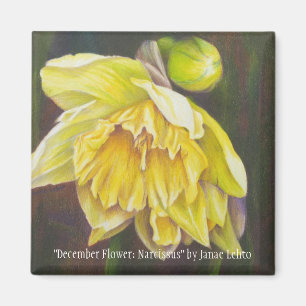 Imán "Flor de diciembre: Narciso" por Janae Lehto