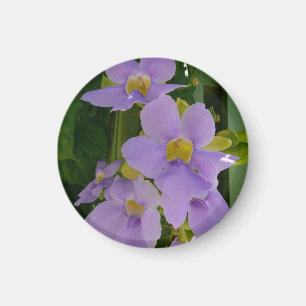 Imán Flor de Enredadera Tropical Floral Púrpura