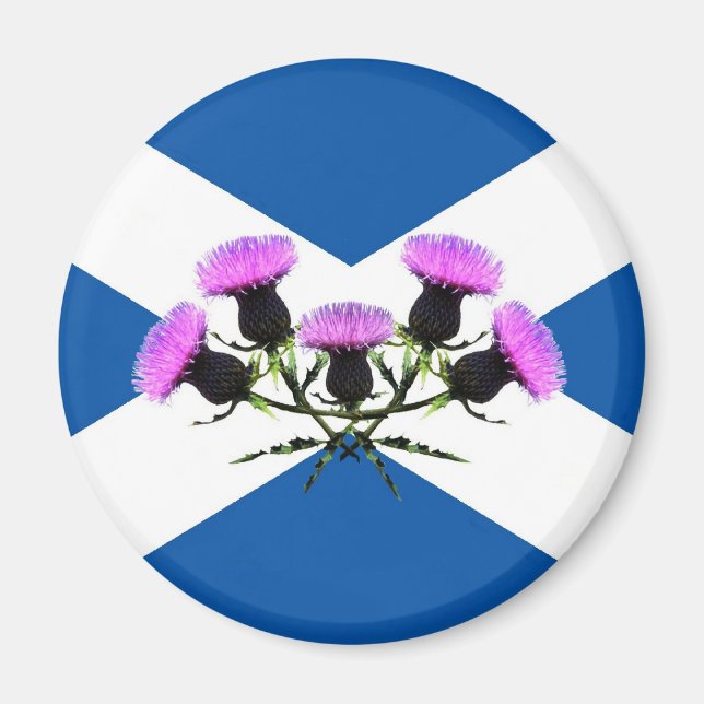 Imán Flor de Escocia, cardo (Frente)