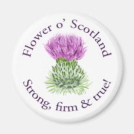 Imán Flor de Escocia. ¡Fuerte, firme y verdadero!
