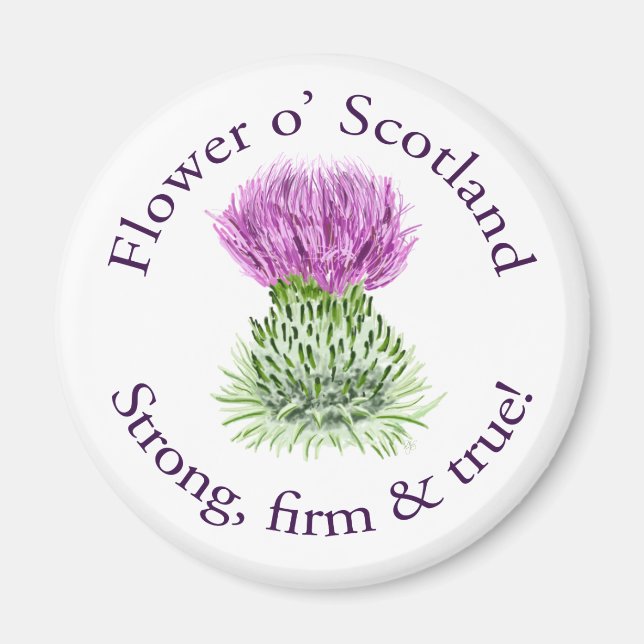 Imán Flor de Escocia. ¡Fuerte, firme y verdadero! (Frente)