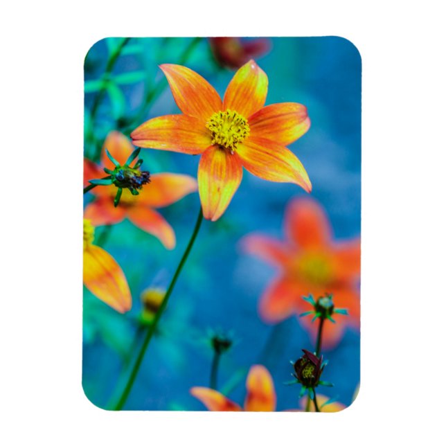 Imán Flor de Estrella Naranja (Vertical)