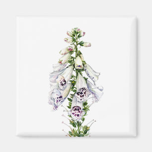 Imán Flor de Foxglove