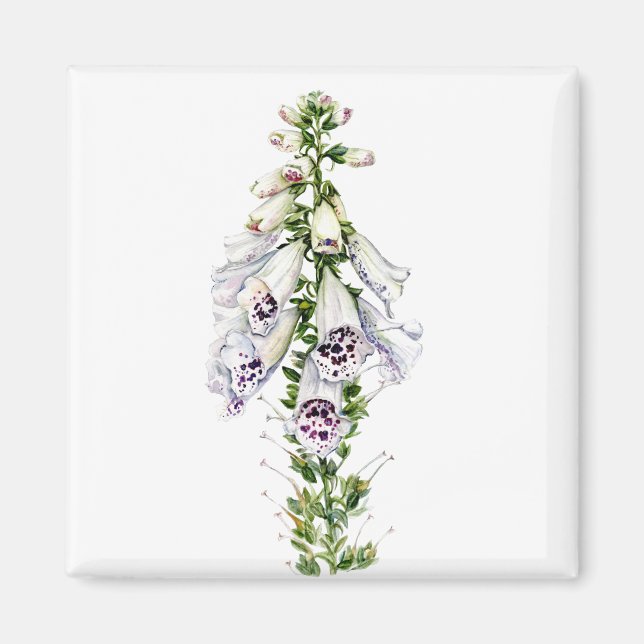 Imán Flor de Foxglove (Frente)