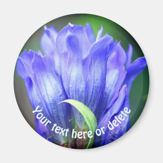 Imán Flor de Genciana Azul Personalizada (Frente)