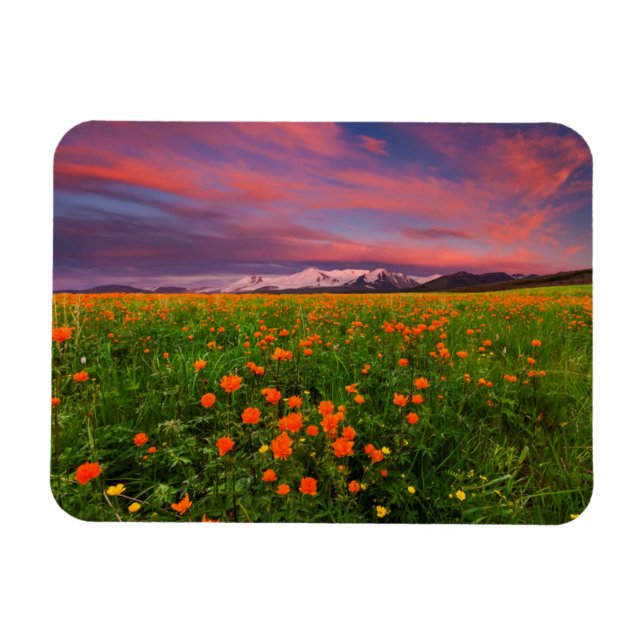 Imán Flor de globo florida (Horizontal)