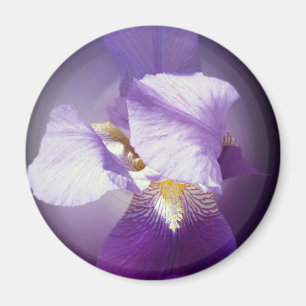 Imán flor de iris púrpura