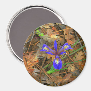 Imán Flor de Iris salvaje...