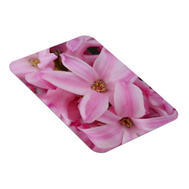 Imán flor de jacinto rosa (Lado Derecho)