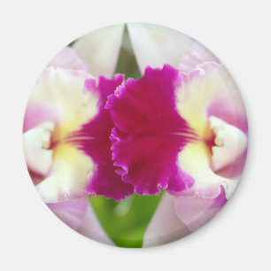 Imán Flor de la orquídea