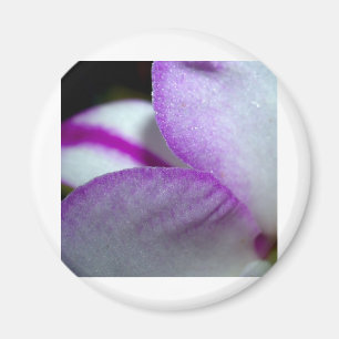 Imán Flor de la orquídea