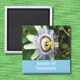Imán Flor de la Pasión Flor del Estado de Tennessee