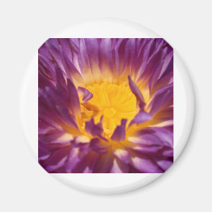 Imán flor de loto