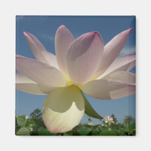 Imán Flor de Lotus y cielo azul II