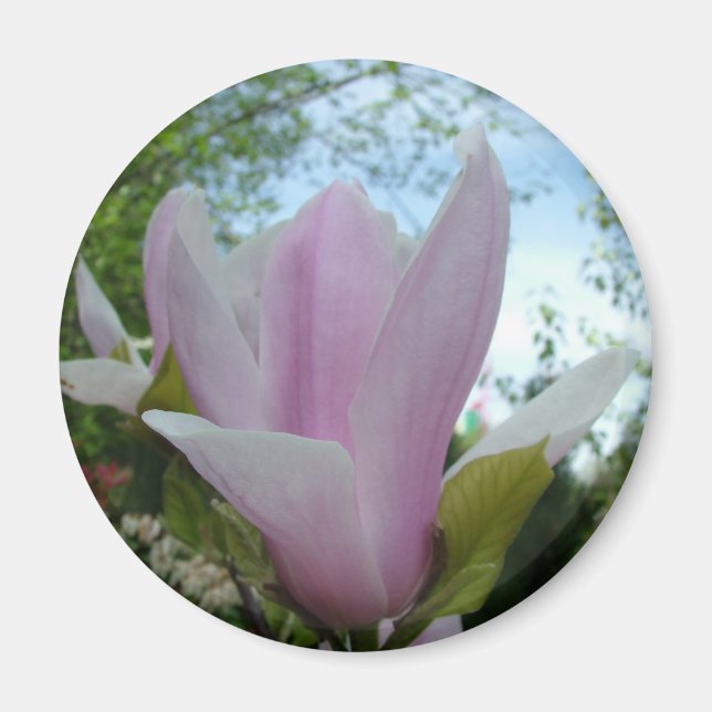 Imán flor de magnolia (Frente)
