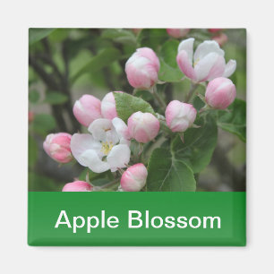 Imán flor de manzana y hojas verdes