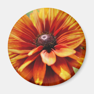 Imán Flor de margarita naranja