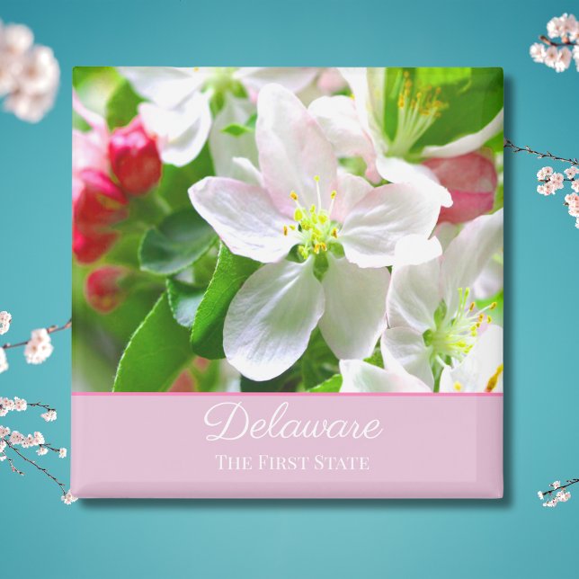 Imán Flor de melocotón de Delaware Primer Estado (Subido por el creador)