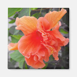 Imán Flor de Naranja
